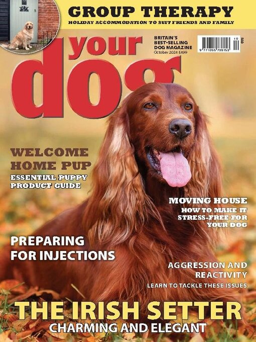 Title details for Your Dog by Warners Group Publications Plc - Available